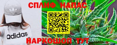 индика Гагарин