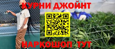 индика Гагарин