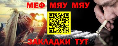 стафф Гай