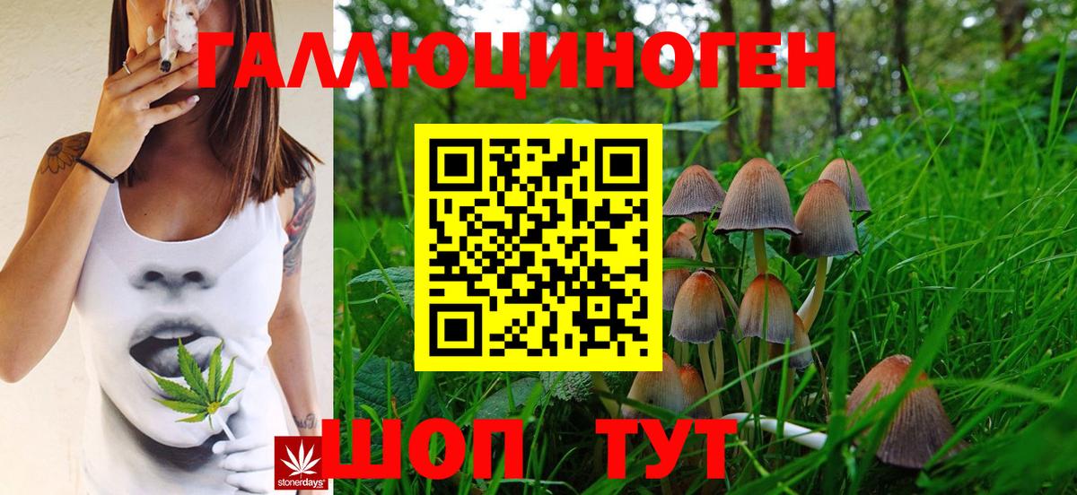 Псилоцибиновые грибы мухоморы  Вход с VPN  Галлюциногенные грибы GOLDEN TEACHER  Майкоп 